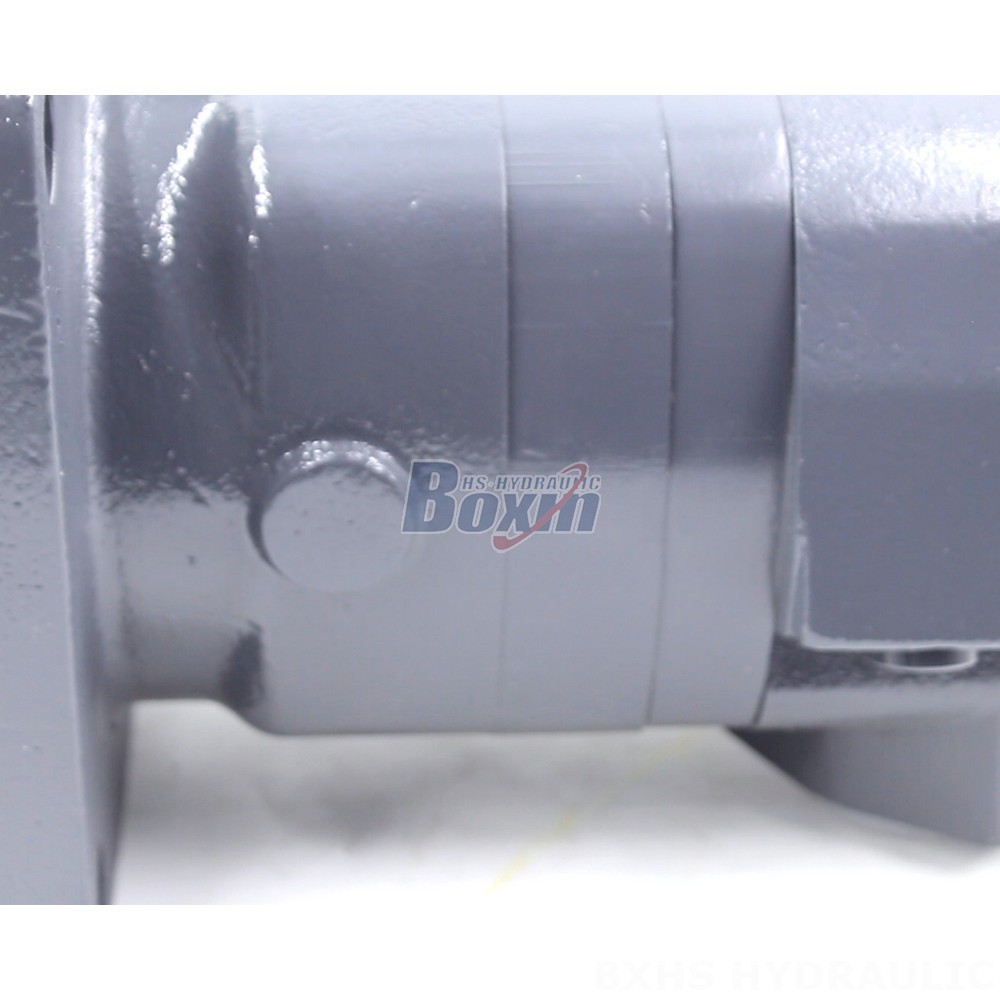 BM6 Cycloid Hydraulic Motor - OEM/ODM Services Available - 245 cc/r 150 Lpm detail image